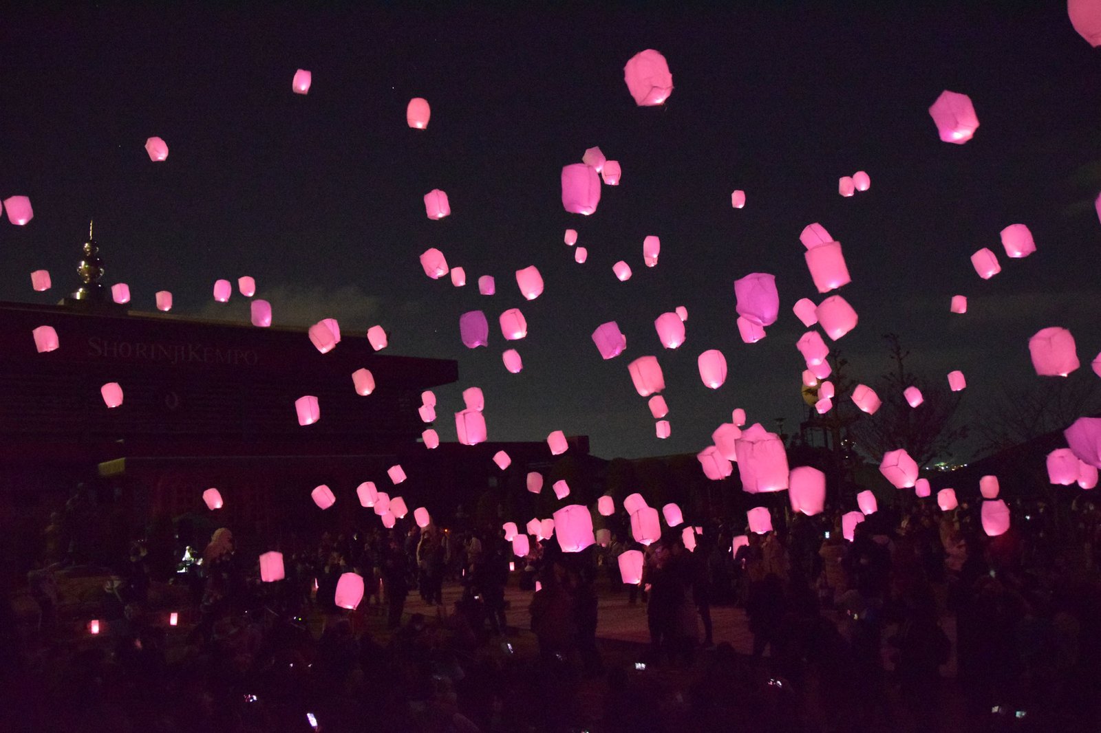 桜んたんページェント - 多度津町まねきねこ課｜香川県・多度津町の